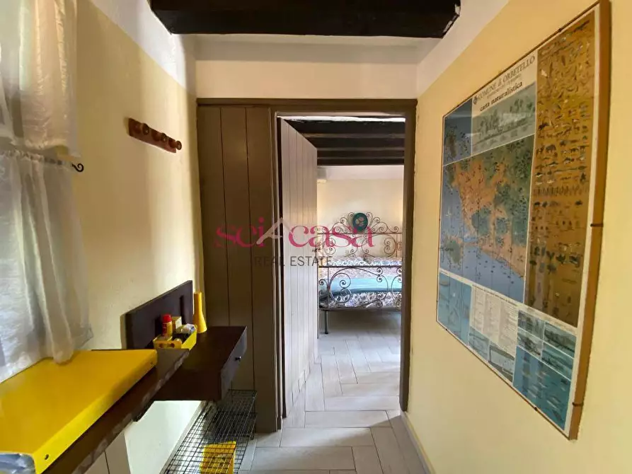 Immagine 29 di Villa in vendita  a Orbetello