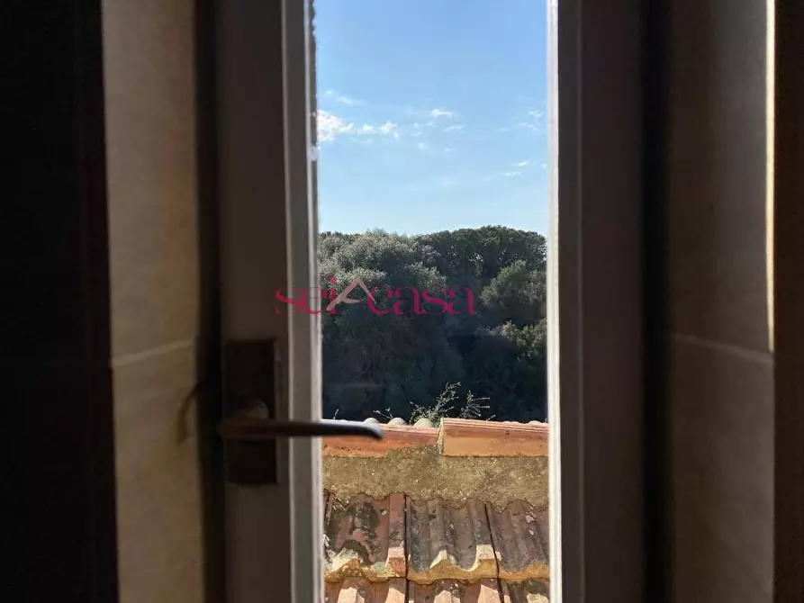 Immagine 39 di Villa in vendita  a Orbetello