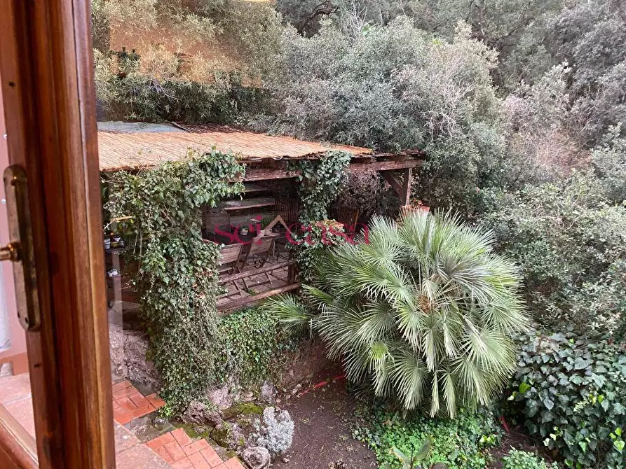 Immagine 6 di Villa in vendita  a Orbetello