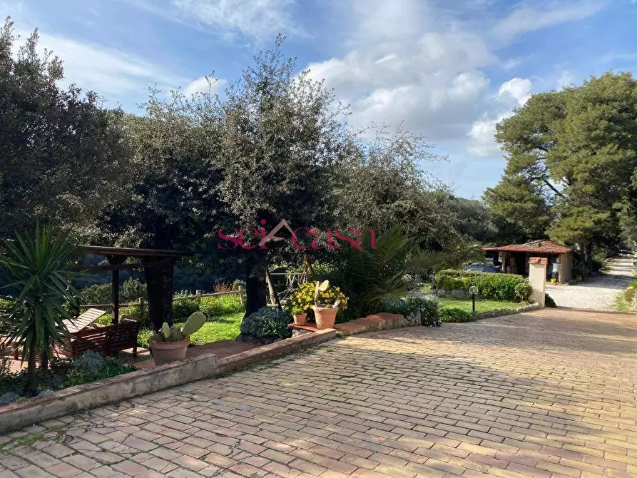 Immagine 46 di Villa in vendita  a Orbetello