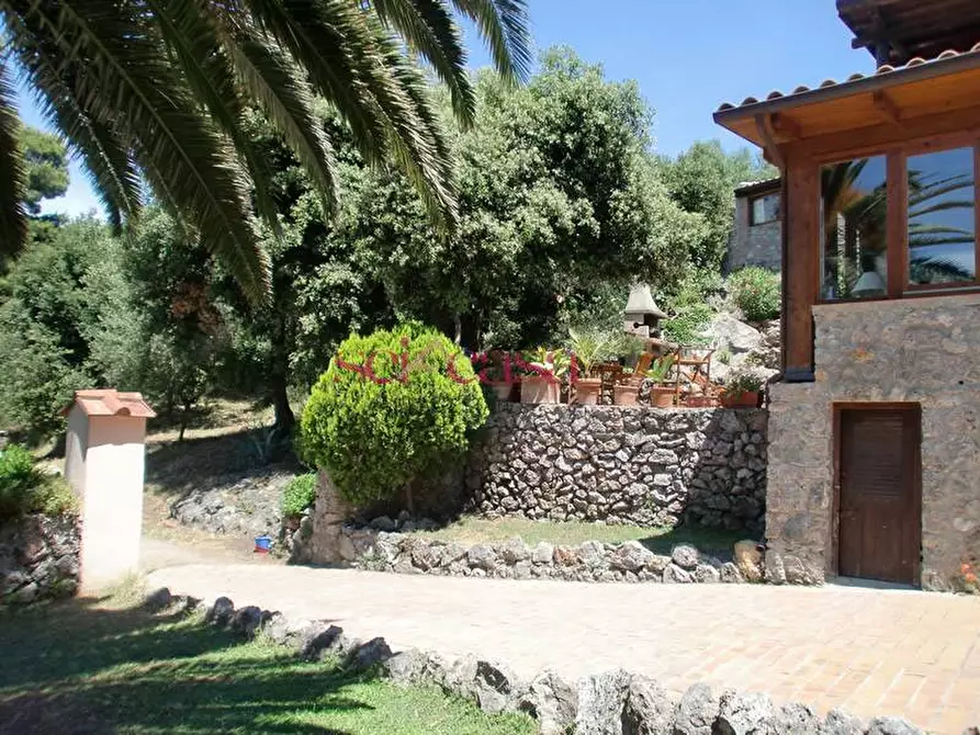 Immagine 49 di Villa in vendita  a Orbetello