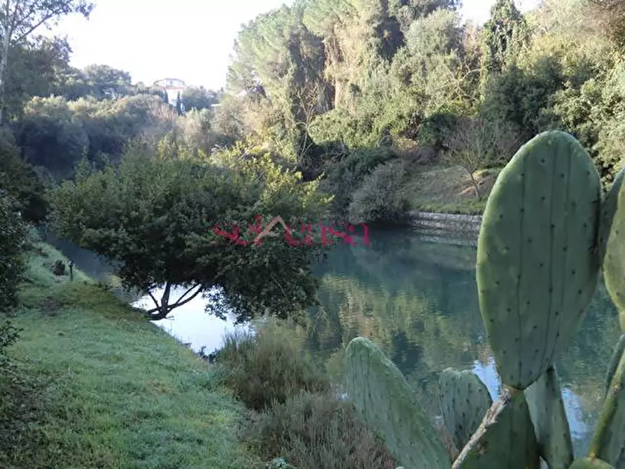 Immagine 57 di Villa in vendita  a Orbetello