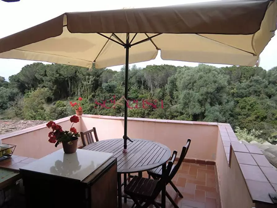 Immagine 66 di Villa in vendita  a Orbetello