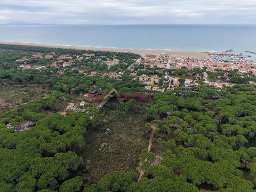 Immagine 2 di Terreno agricolo in vendita  a Grosseto
