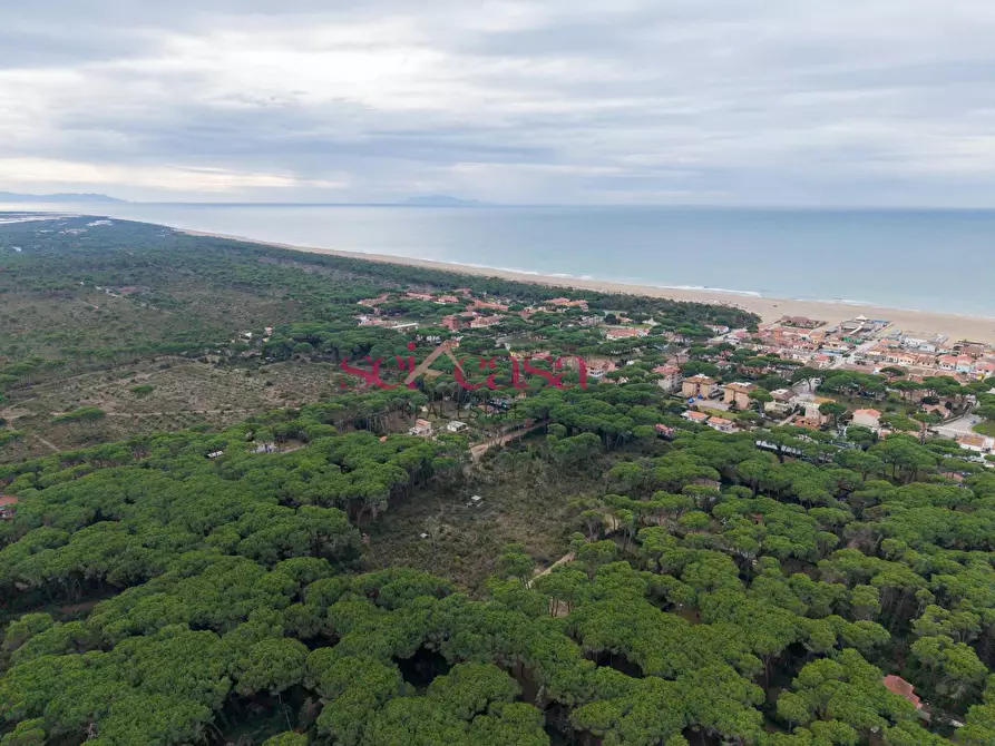 Immagine 3 di Terreno agricolo in vendita  a Grosseto