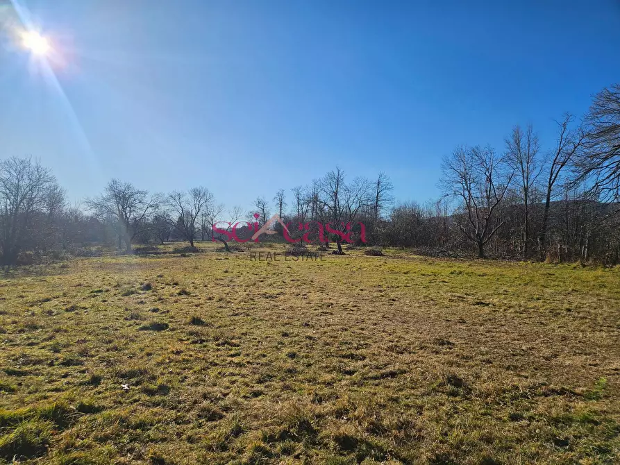 Immagine 10 di Rustico / casale in vendita  a Santa Fiora