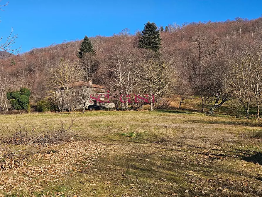 Immagine 9 di Rustico / casale in vendita  a Santa Fiora