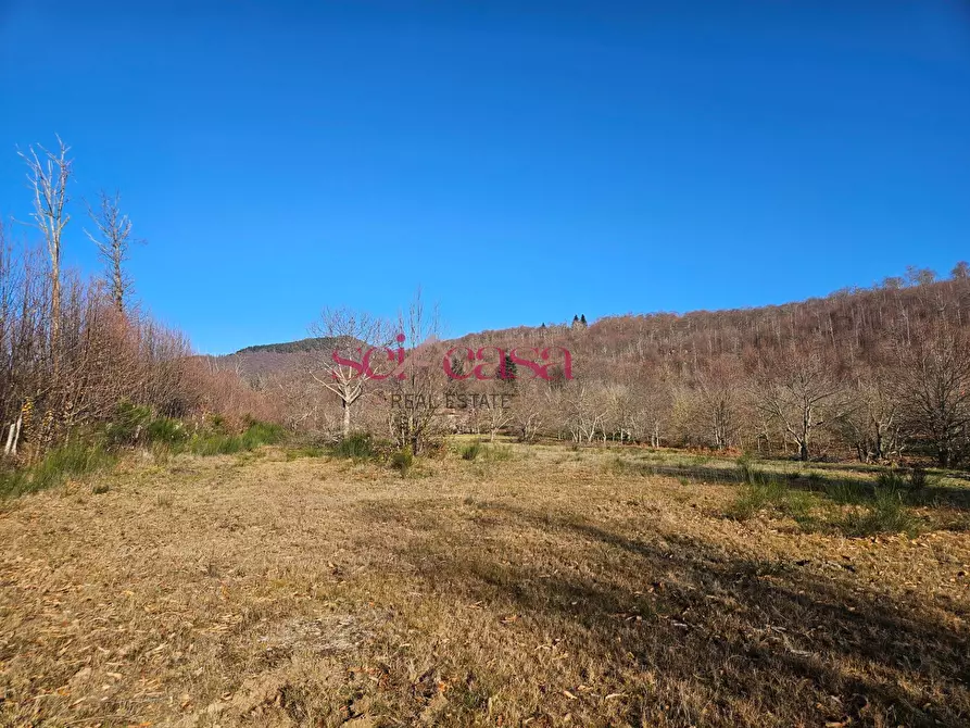 Immagine 13 di Rustico / casale in vendita  a Santa Fiora