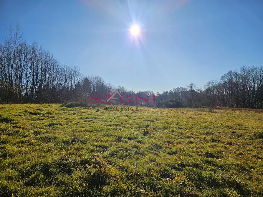 Immagine 14 di Rustico / casale in vendita  a Santa Fiora