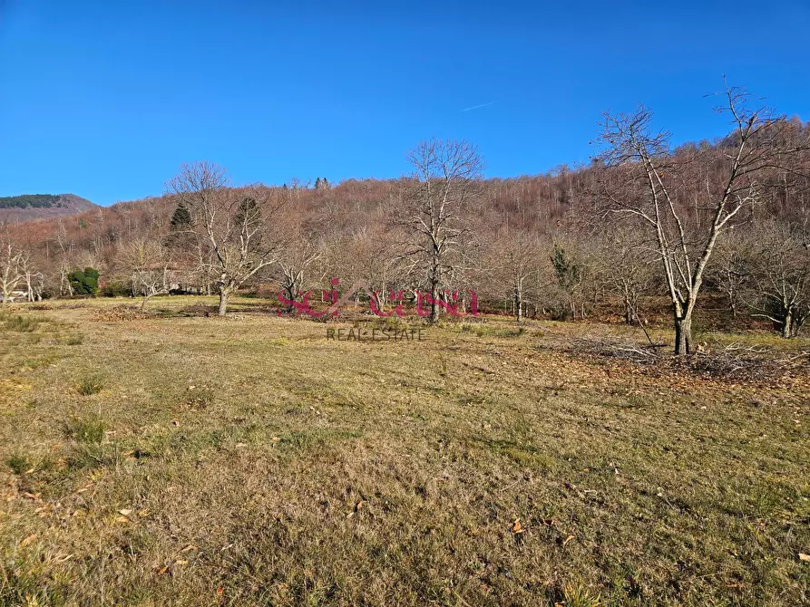 Immagine 15 di Rustico / casale in vendita  a Santa Fiora