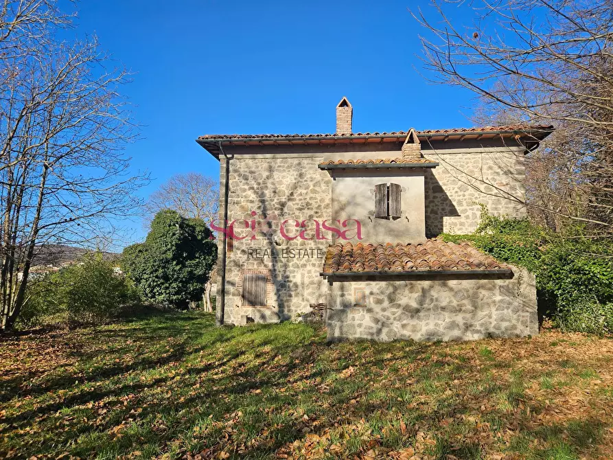 Immagine 2 di Rustico / casale in vendita  a Santa Fiora