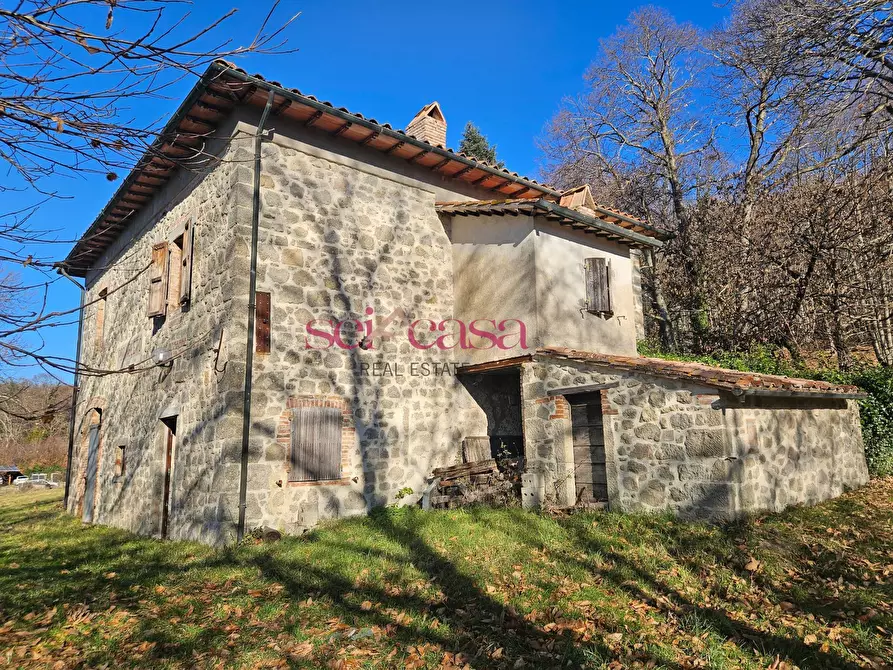 Immagine 1 di Rustico / casale in vendita  a Santa Fiora