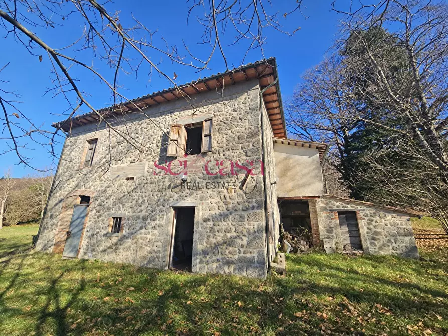 Immagine 3 di Rustico / casale in vendita  a Santa Fiora