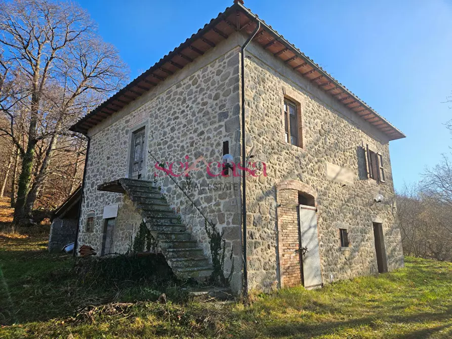 Immagine 4 di Rustico / casale in vendita  a Santa Fiora