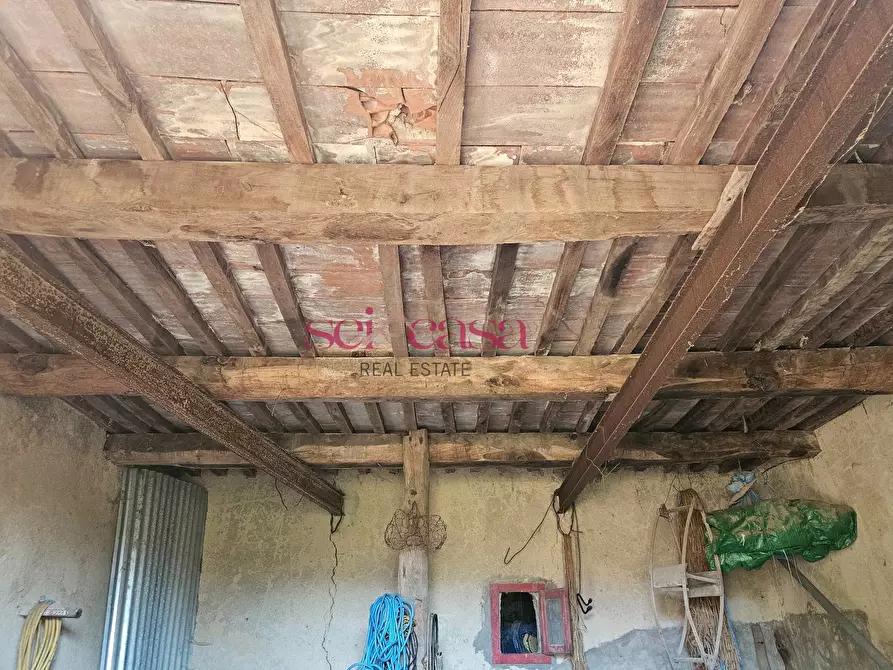Immagine 18 di Rustico / casale in vendita  a Santa Fiora