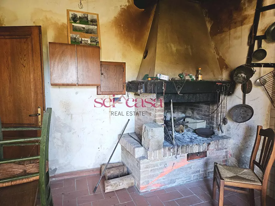Immagine 17 di Rustico / casale in vendita  a Santa Fiora