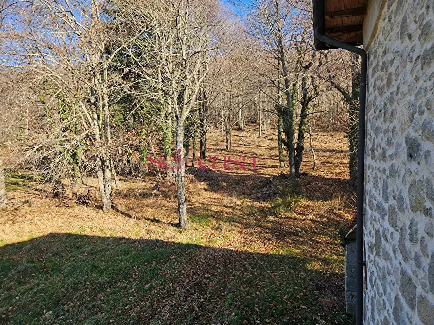 Immagine 8 di Rustico / casale in vendita  a Santa Fiora