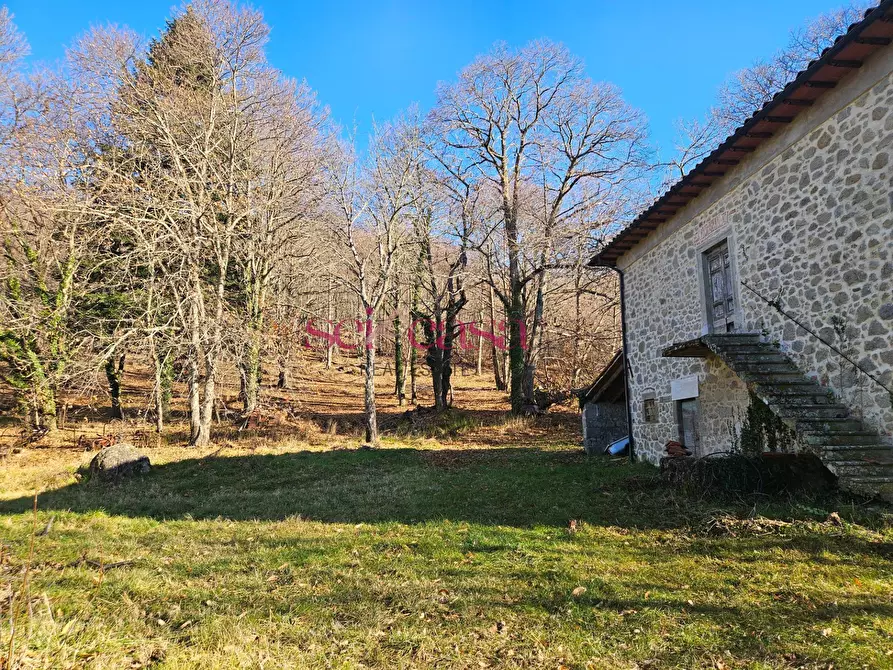 Immagine 7 di Rustico / casale in vendita  a Santa Fiora