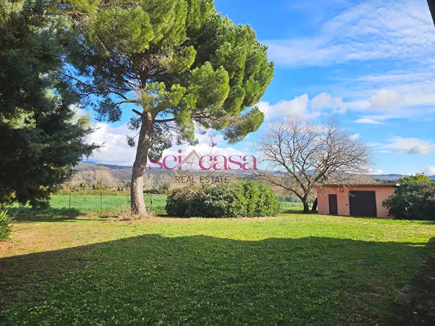 Immagine 32 di Rustico / casale in vendita  a Roccastrada