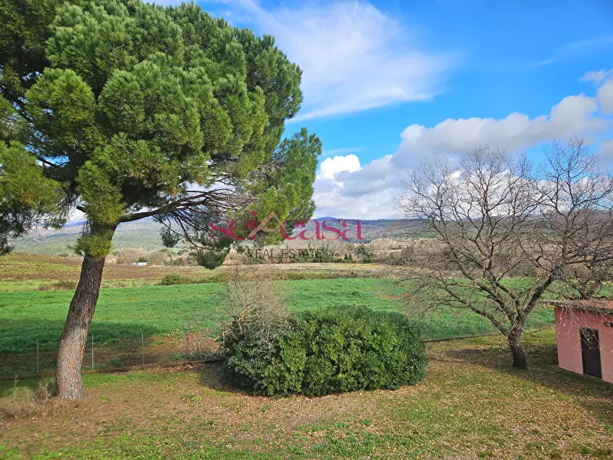 Immagine 34 di Rustico / casale in vendita  a Roccastrada