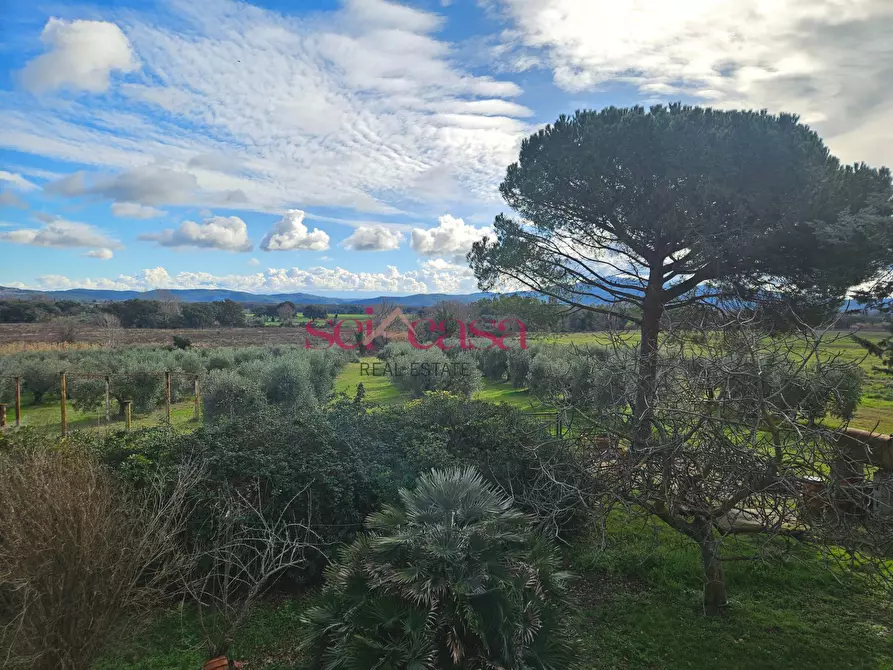 Immagine 35 di Rustico / casale in vendita  a Roccastrada