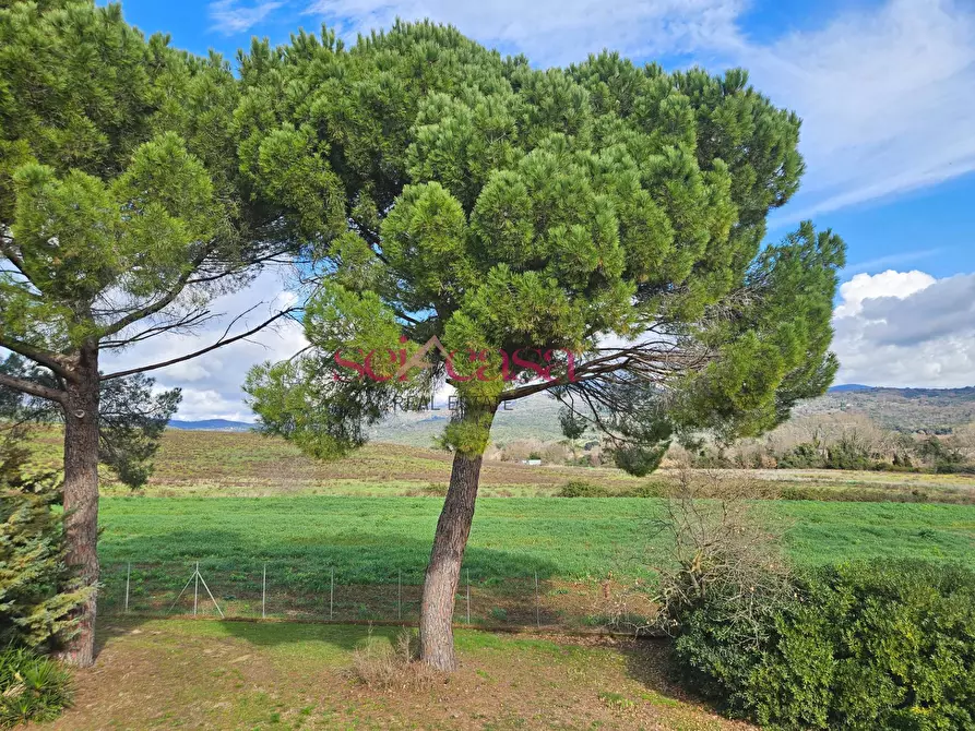 Immagine 33 di Rustico / casale in vendita  a Roccastrada