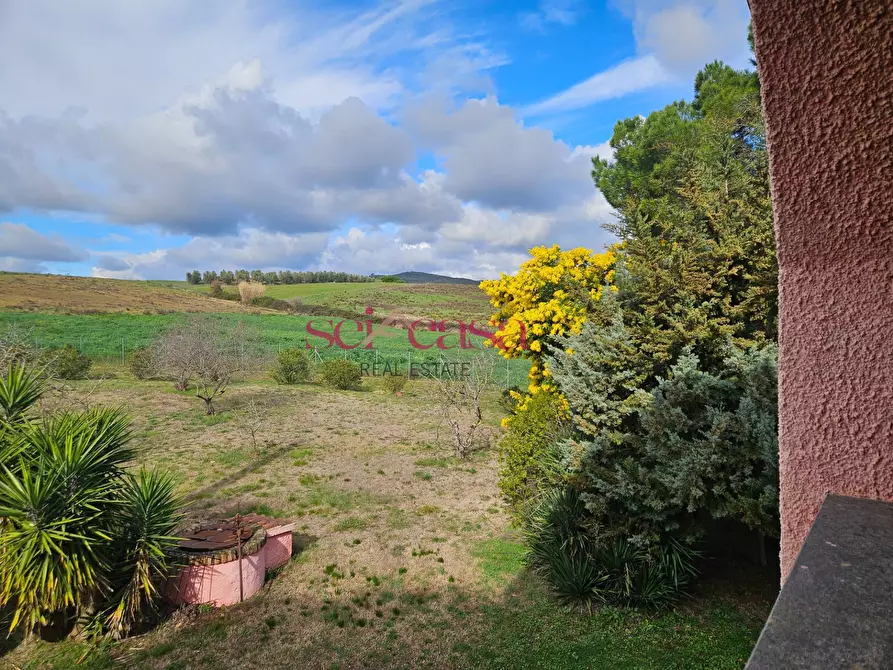 Immagine 24 di Rustico / casale in vendita  a Roccastrada
