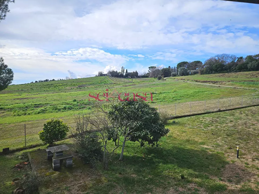 Immagine 37 di Rustico / casale in vendita  a Roccastrada