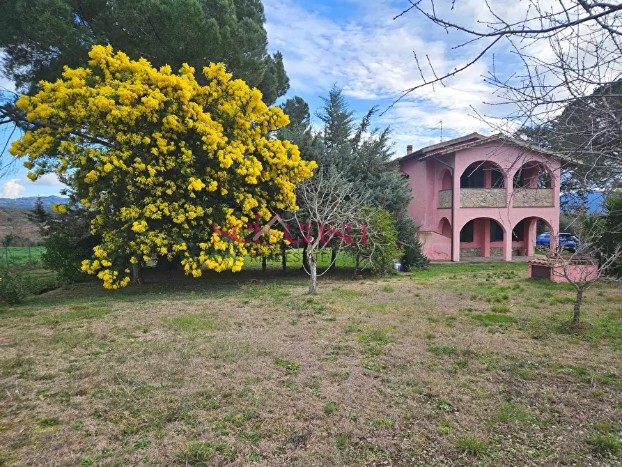 Immagine 30 di Rustico / casale in vendita  a Roccastrada