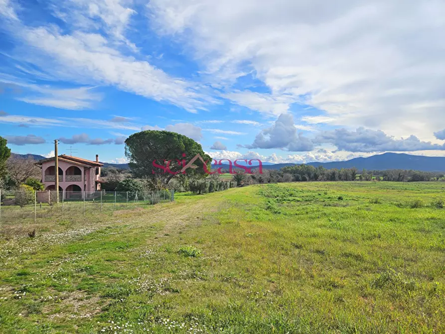Immagine 38 di Rustico / casale in vendita  a Roccastrada