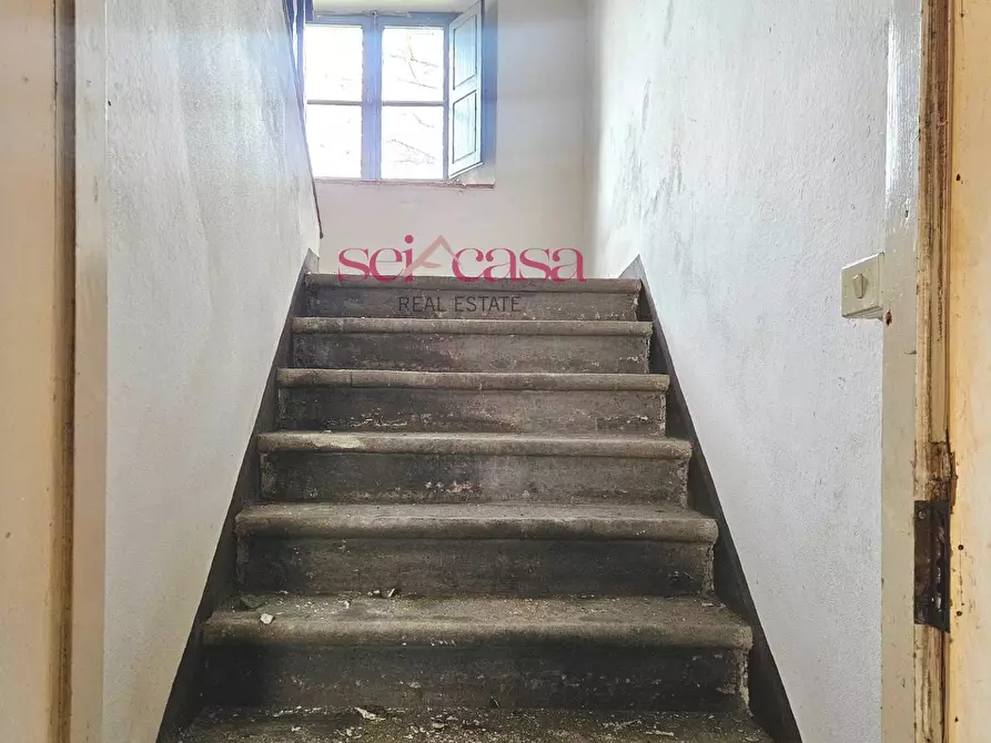 Immagine 3 di Casa indipendente in vendita  a Monticiano