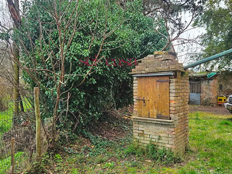 Immagine 15 di Casa indipendente in vendita  a Monticiano