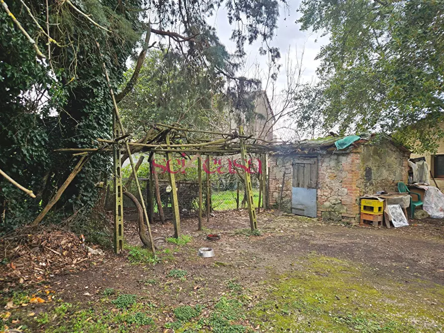 Immagine 16 di Casa indipendente in vendita  a Monticiano