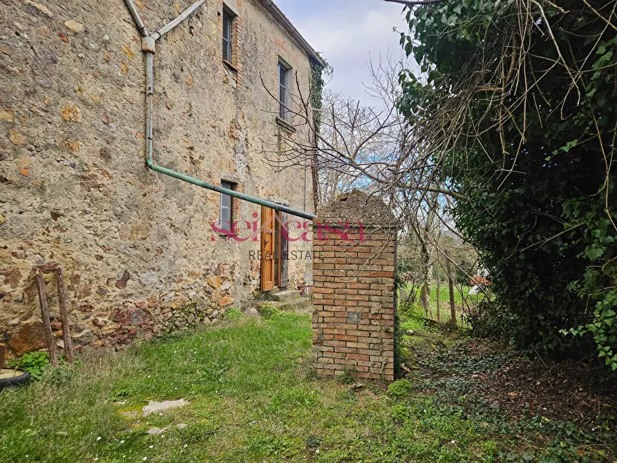 Immagine 17 di Casa indipendente in vendita  a Monticiano