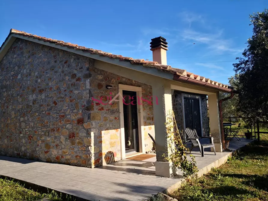 Immagine 16 di Rustico / casale in vendita  a Scansano