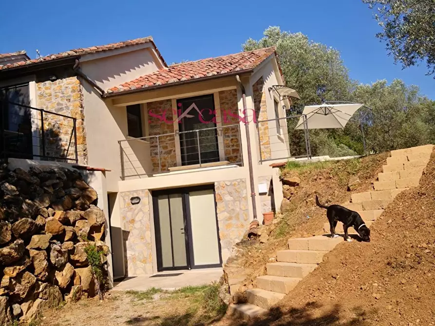 Immagine 17 di Rustico / casale in vendita  a Scansano