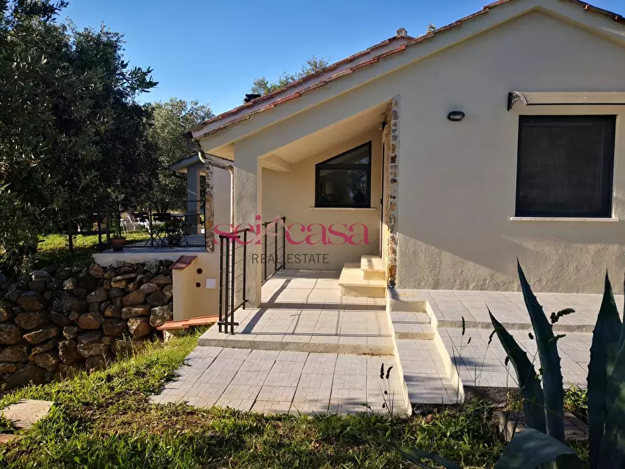 Immagine 18 di Rustico / casale in vendita  a Scansano