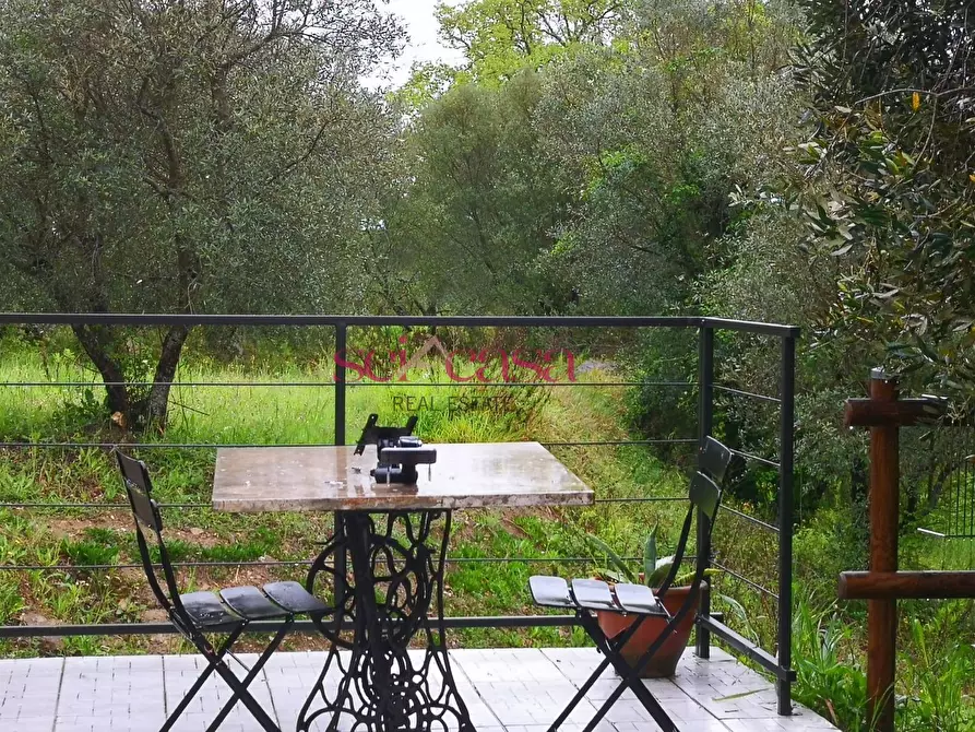 Immagine 26 di Rustico / casale in vendita  a Scansano