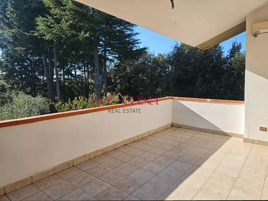 Immagine 31 di Casa semindipendente in vendita  a Grosseto