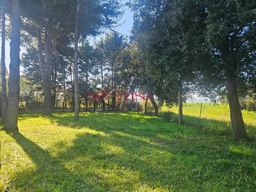 Immagine 16 di Casa semindipendente in vendita  a Grosseto