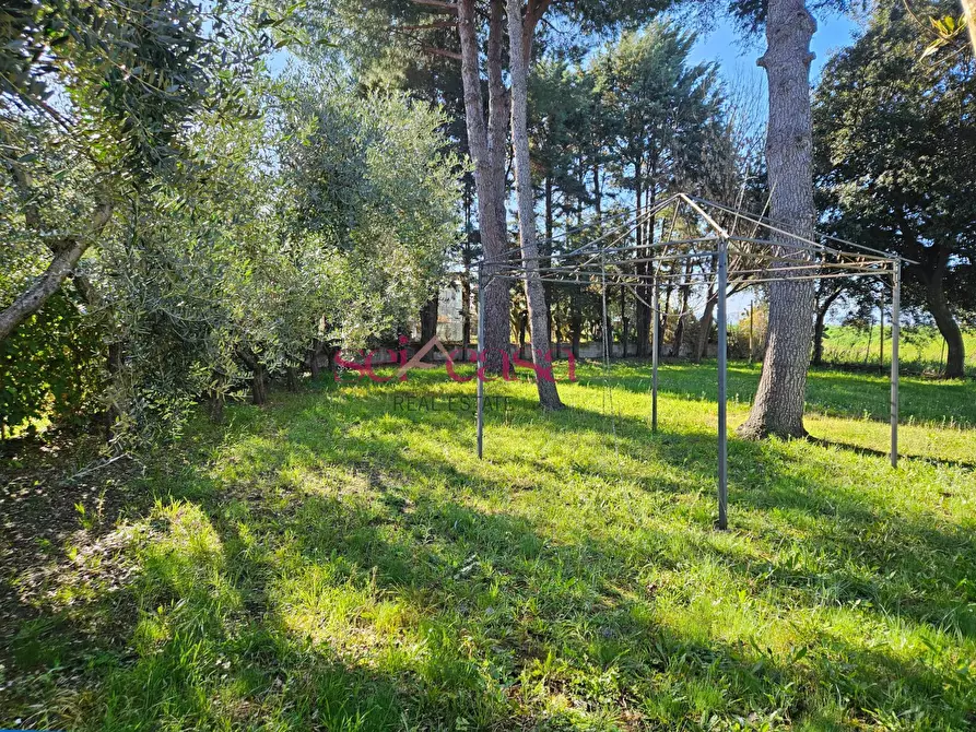 Immagine 17 di Casa semindipendente in vendita  a Grosseto