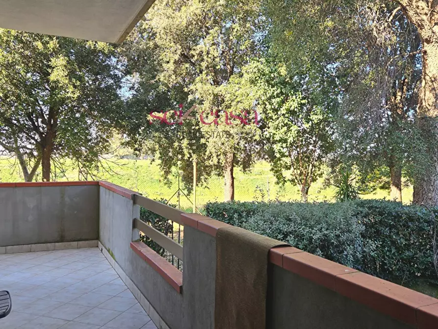 Immagine 14 di Casa semindipendente in vendita  a Grosseto