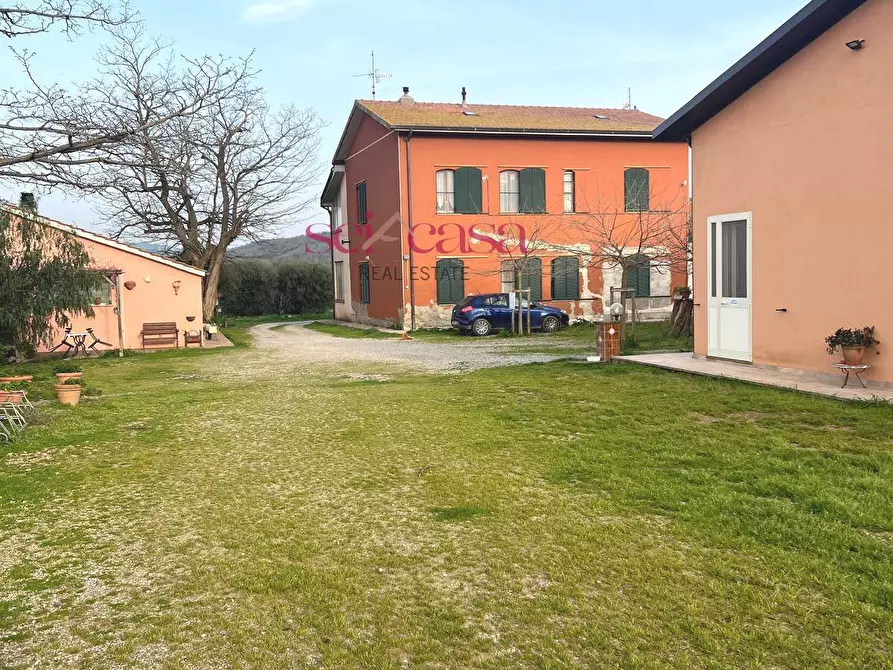 Immagine 4 di Agriturismo in vendita  a Grosseto