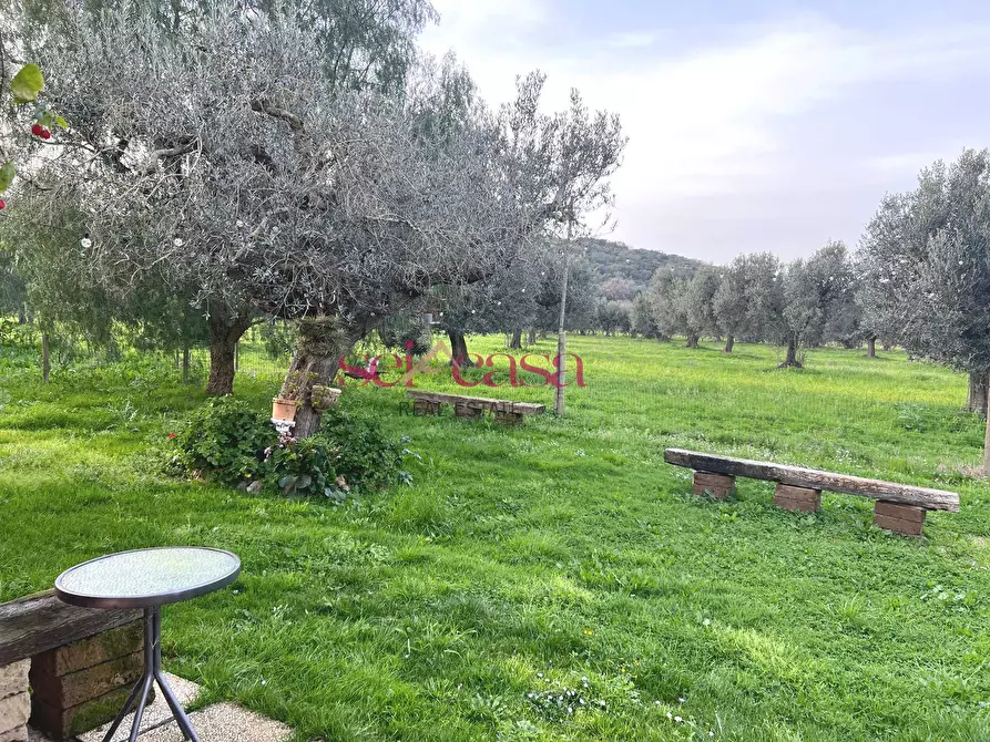 Immagine 7 di Agriturismo in vendita  a Grosseto