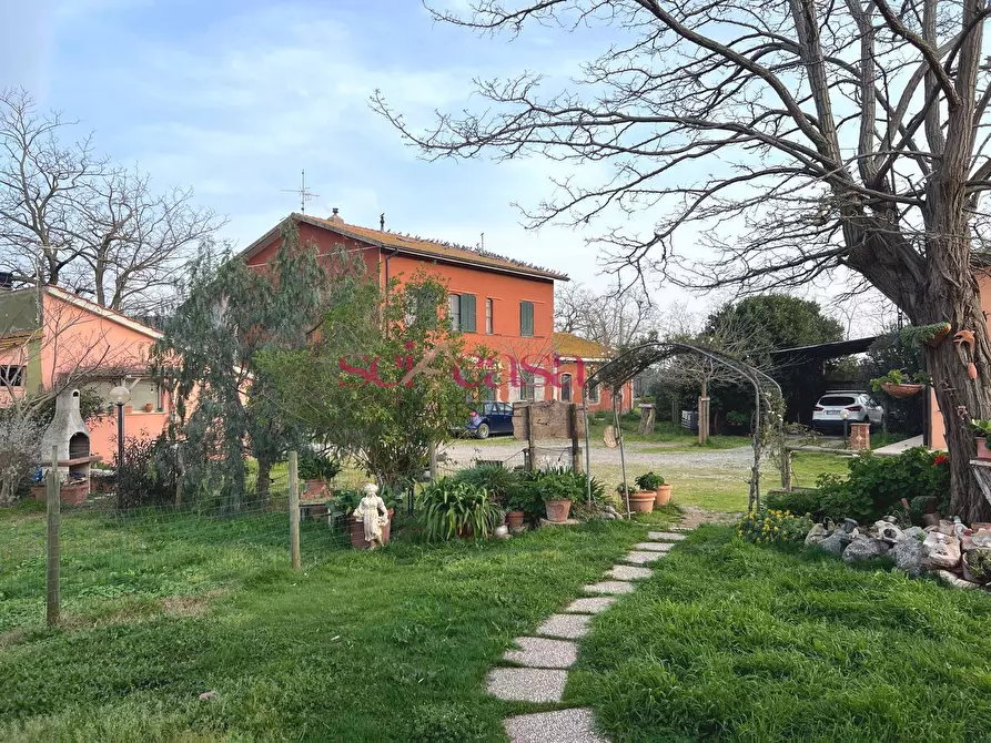 Immagine 3 di Agriturismo in vendita  a Grosseto