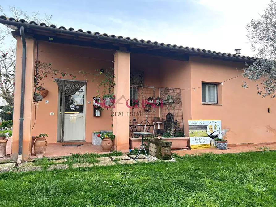 Immagine 10 di Agriturismo in vendita  a Grosseto