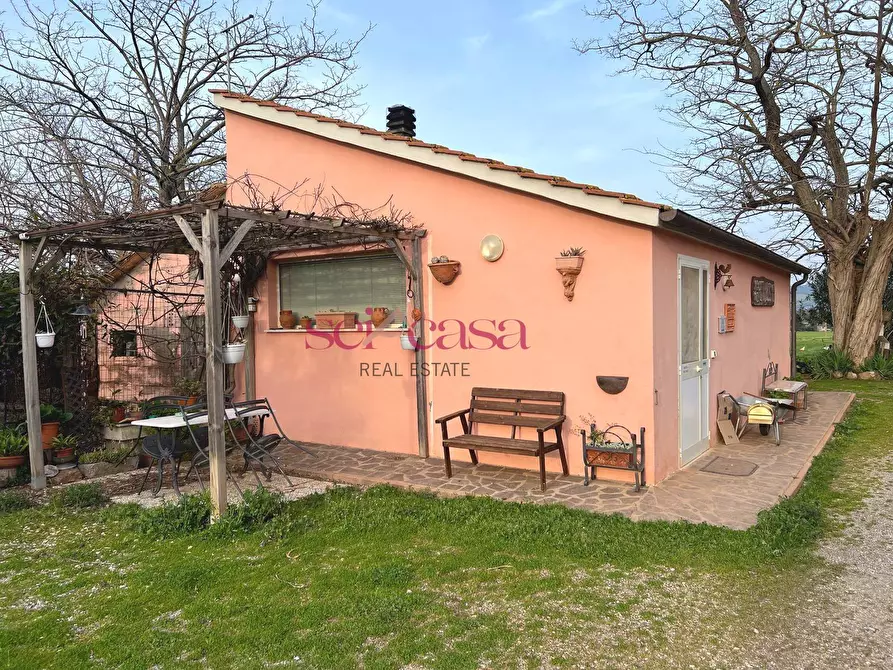 Immagine 11 di Agriturismo in vendita  a Grosseto