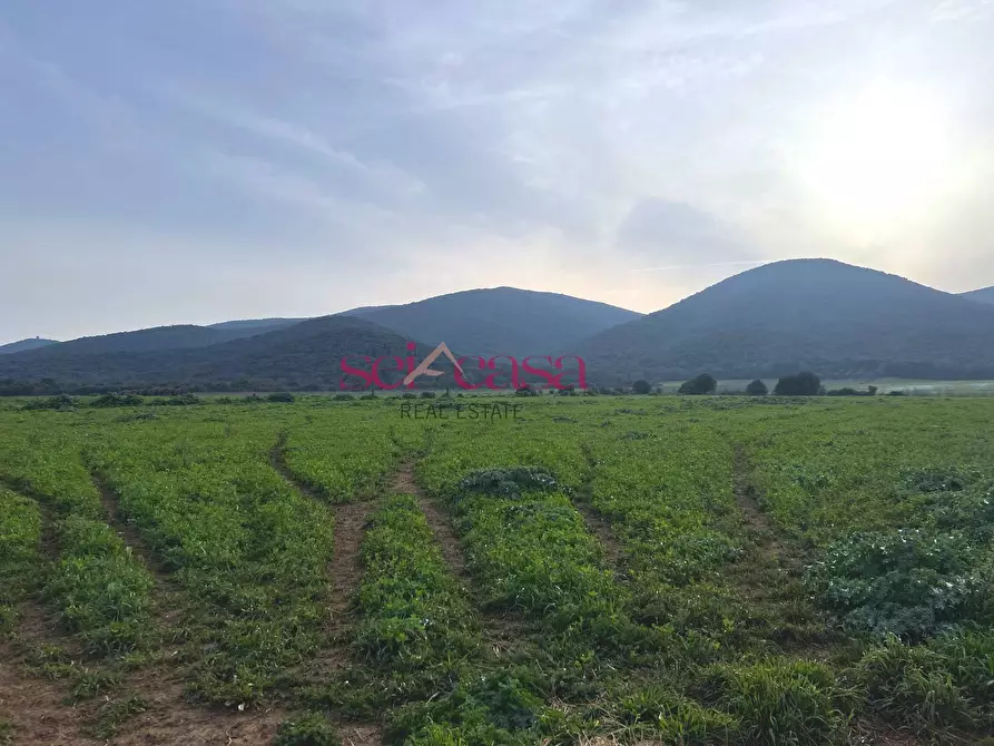 Immagine 8 di Agriturismo in vendita  a Grosseto