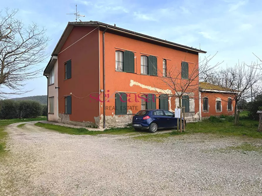 Immagine 6 di Agriturismo in vendita  a Grosseto