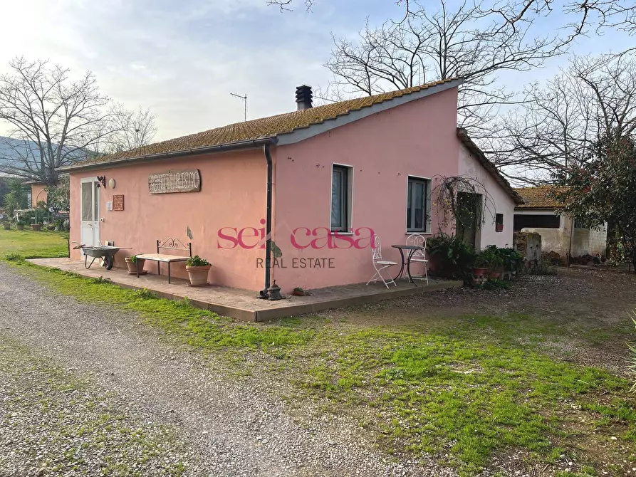 Immagine 9 di Agriturismo in vendita  a Grosseto